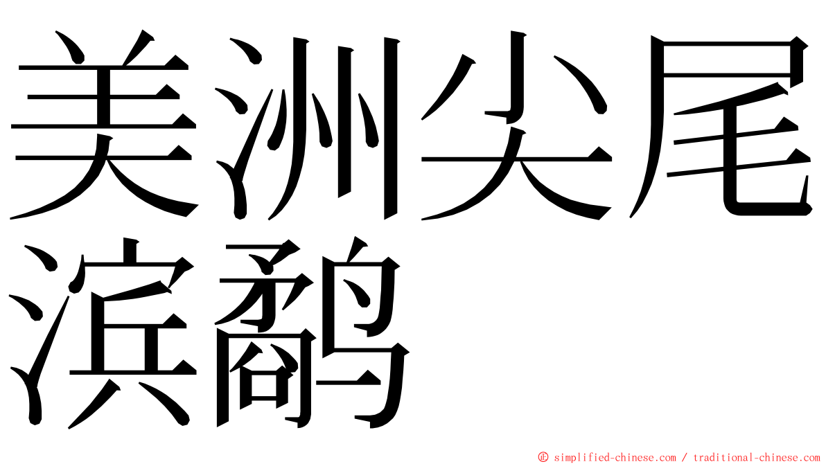 美洲尖尾滨鹬 ming font