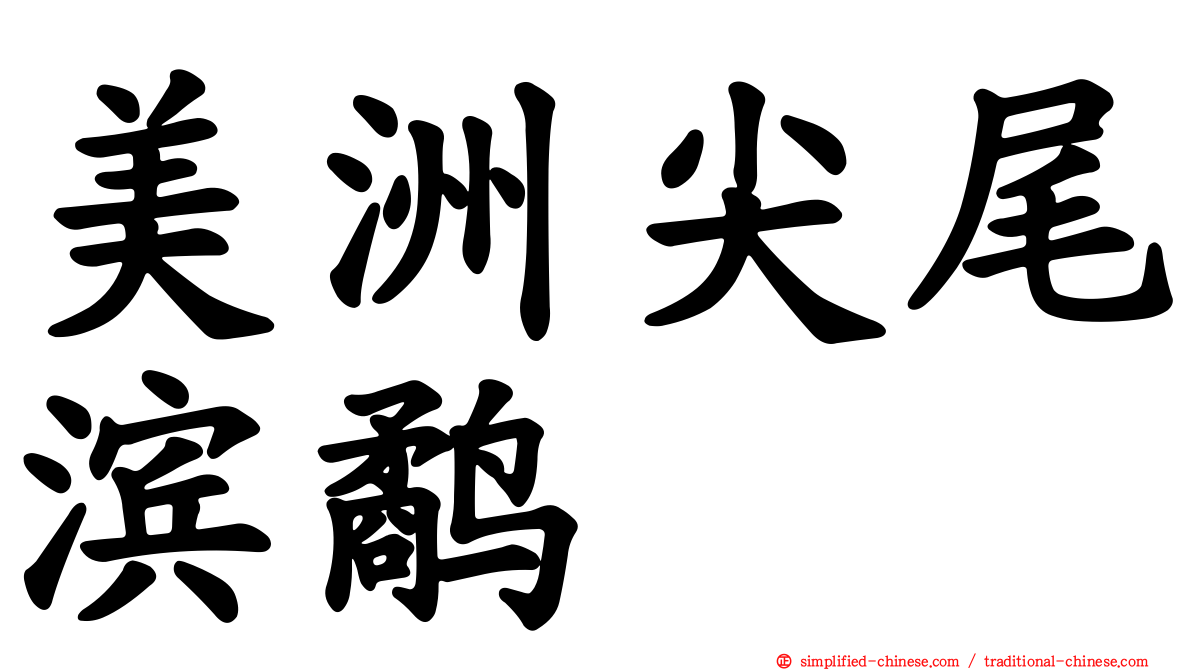 美洲尖尾滨鹬