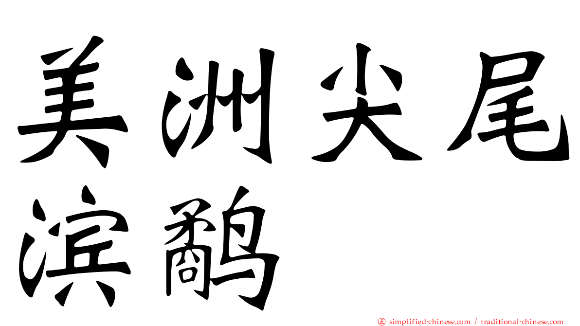 美洲尖尾滨鹬
