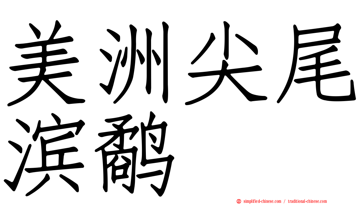 美洲尖尾滨鹬