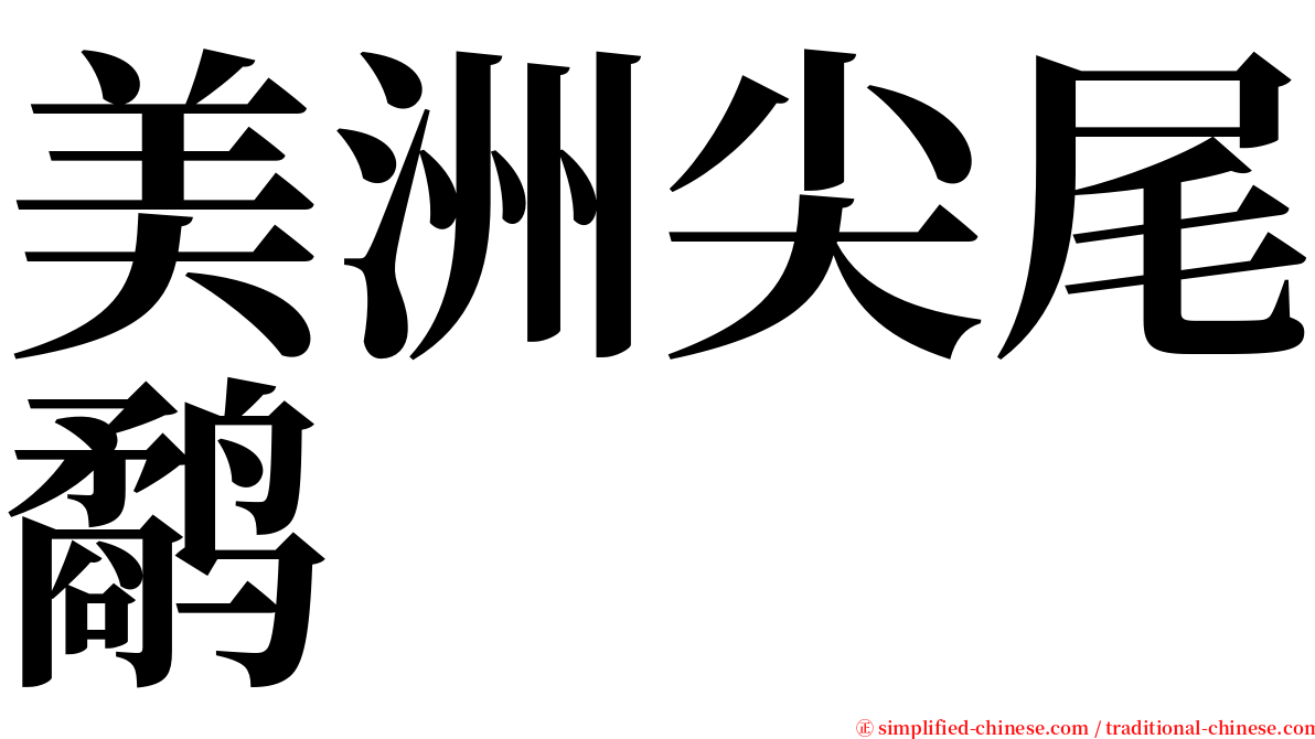 美洲尖尾鹬 serif font