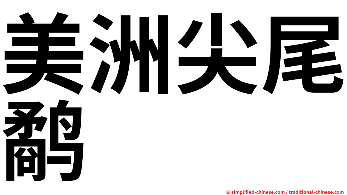 美洲尖尾鹬