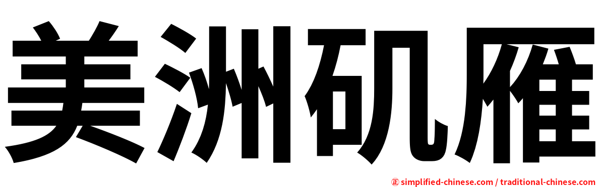 美洲矶雁