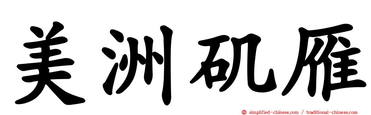 美洲矶雁