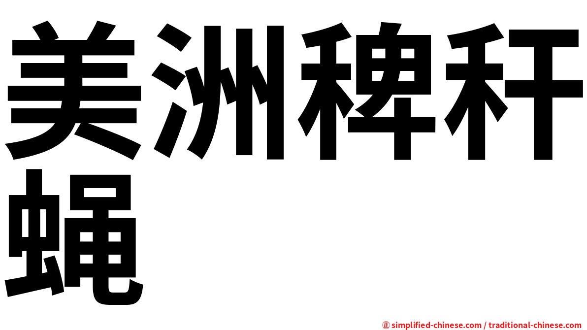 美洲稗秆蝇