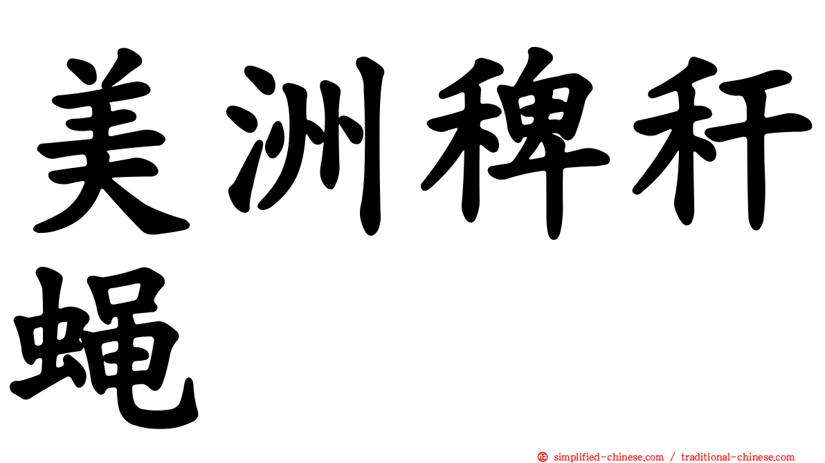 美洲稗秆蝇