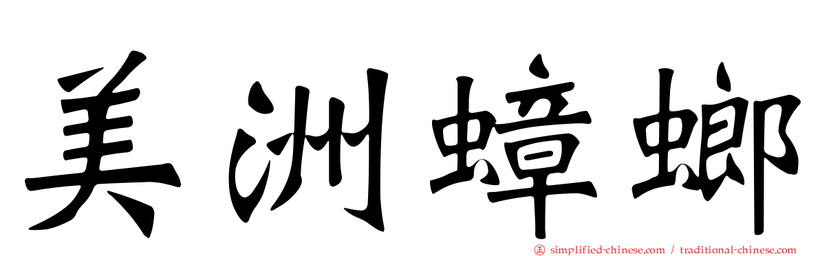 美洲蟑螂