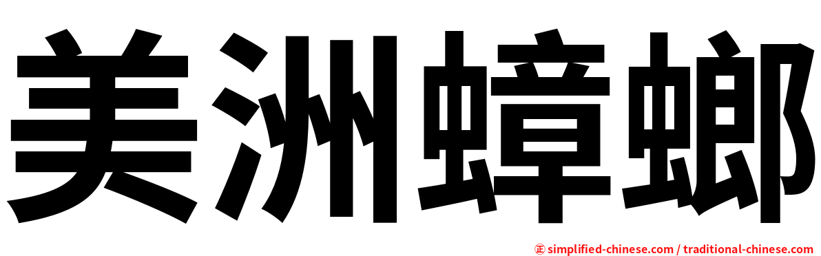 美洲蟑螂