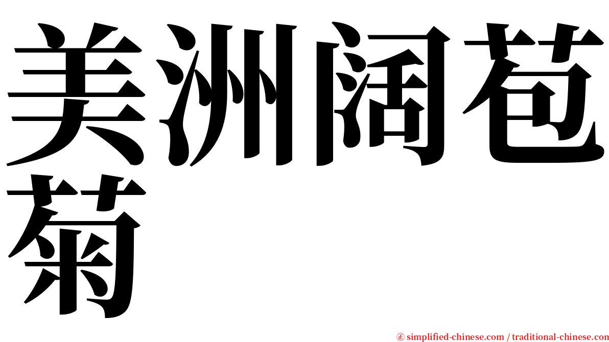 美洲阔苞菊 serif font