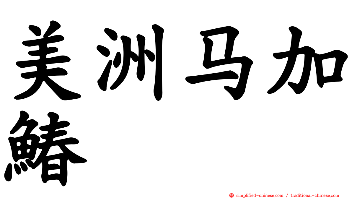 美洲马加䲠