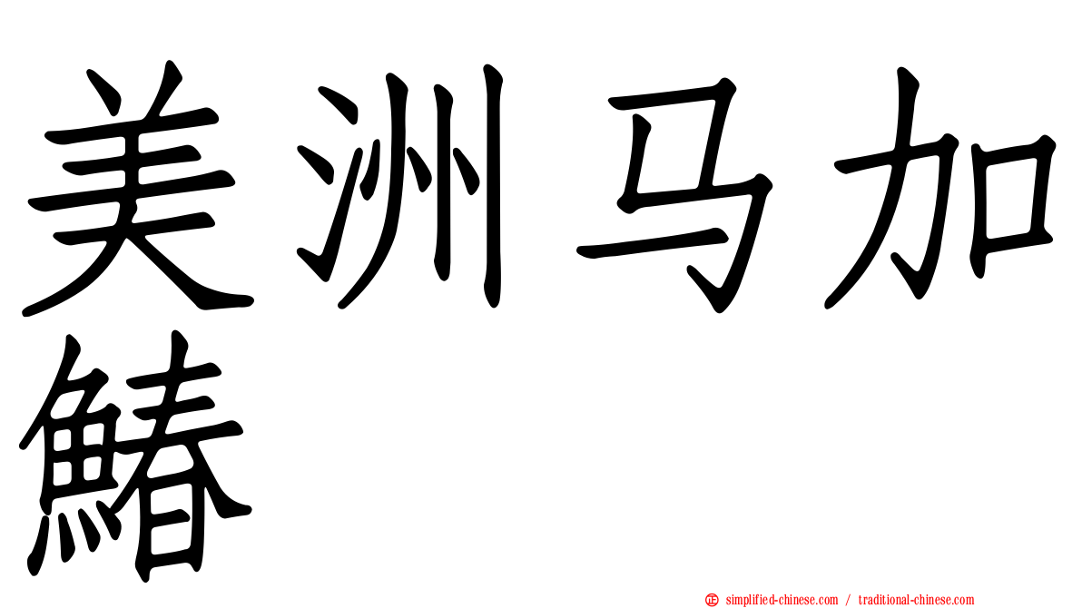 美洲马加䲠