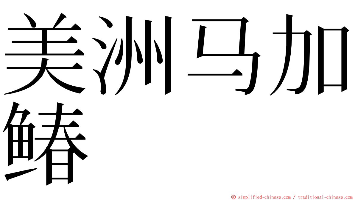 美洲马加䲠 ming font