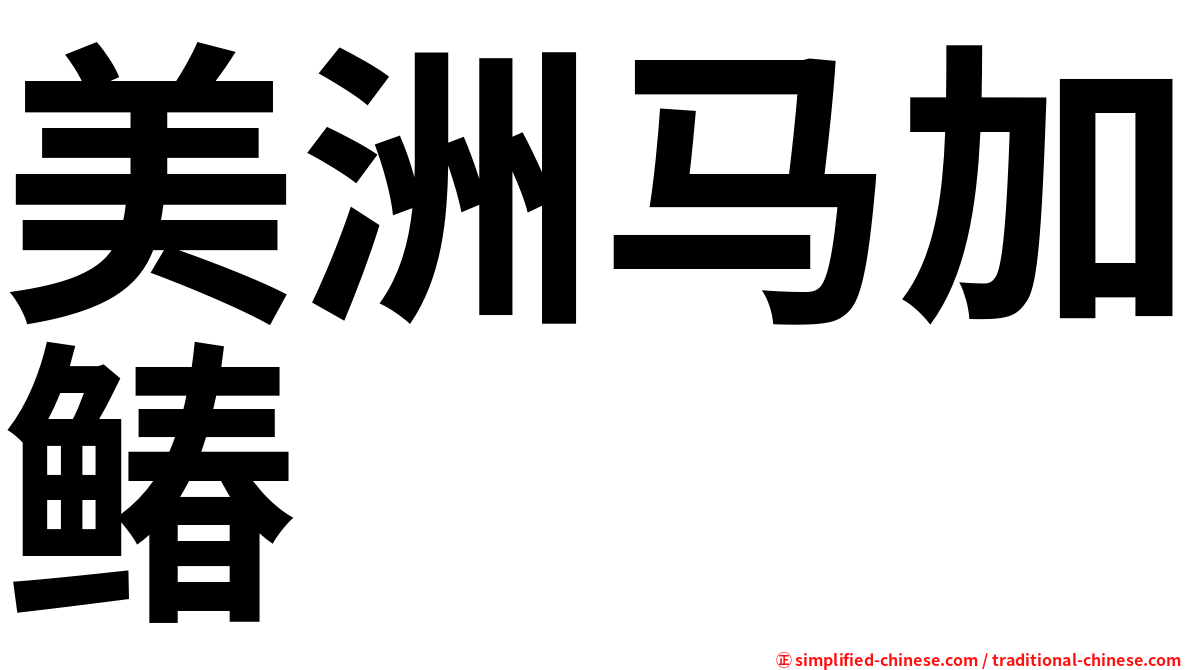 美洲马加䲠