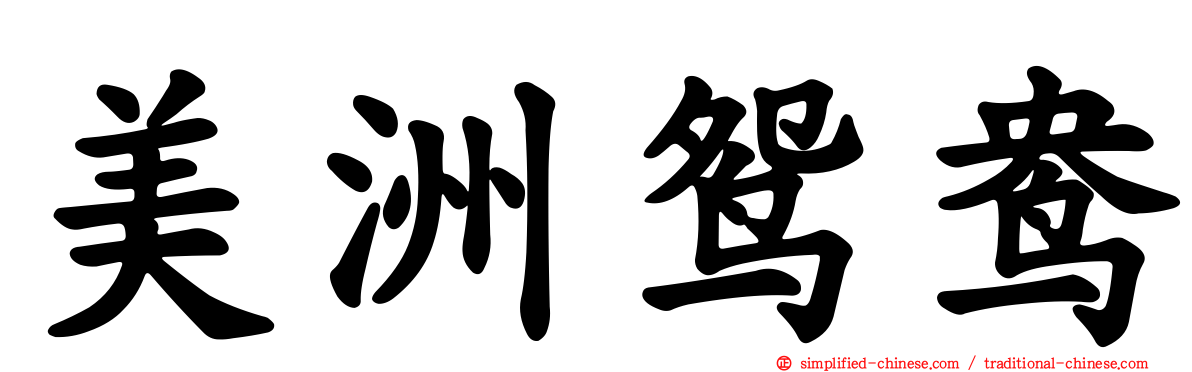 美洲鸳鸯