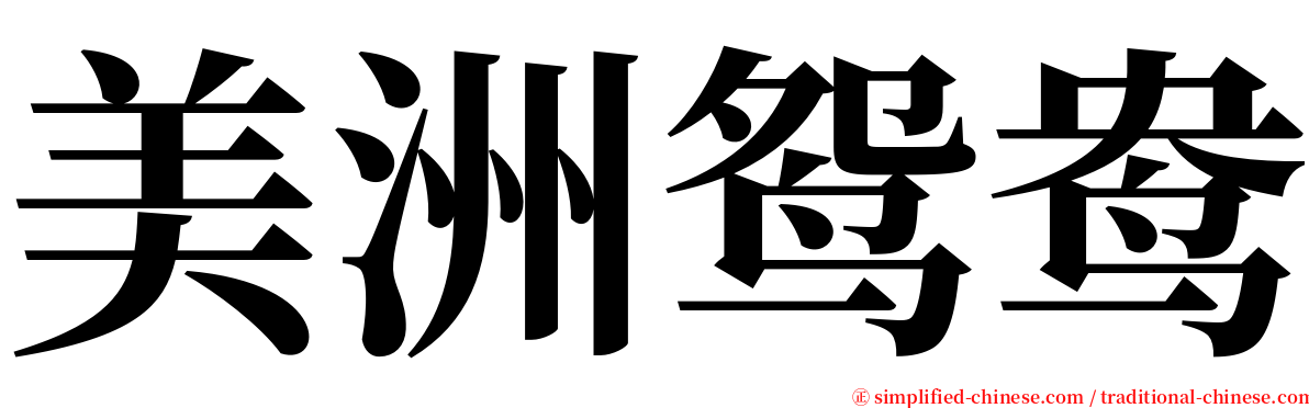 美洲鸳鸯 serif font