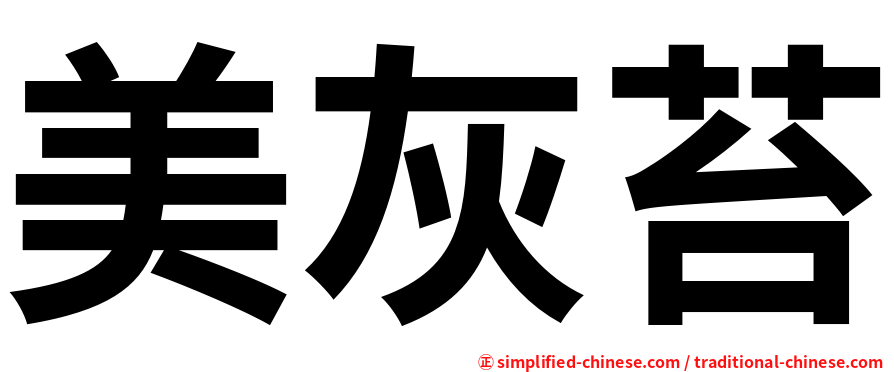 美灰苔