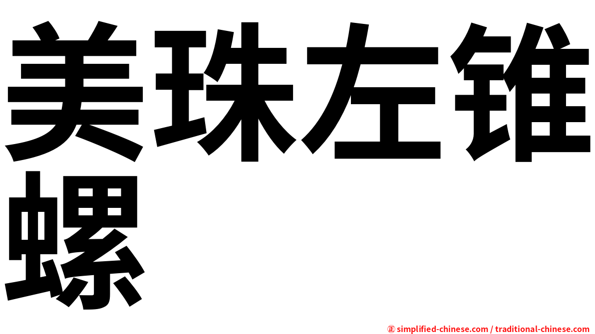 美珠左锥螺