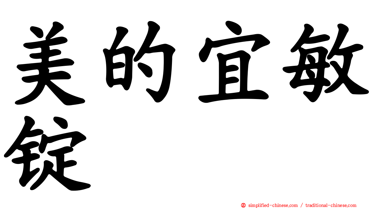 美的宜敏锭