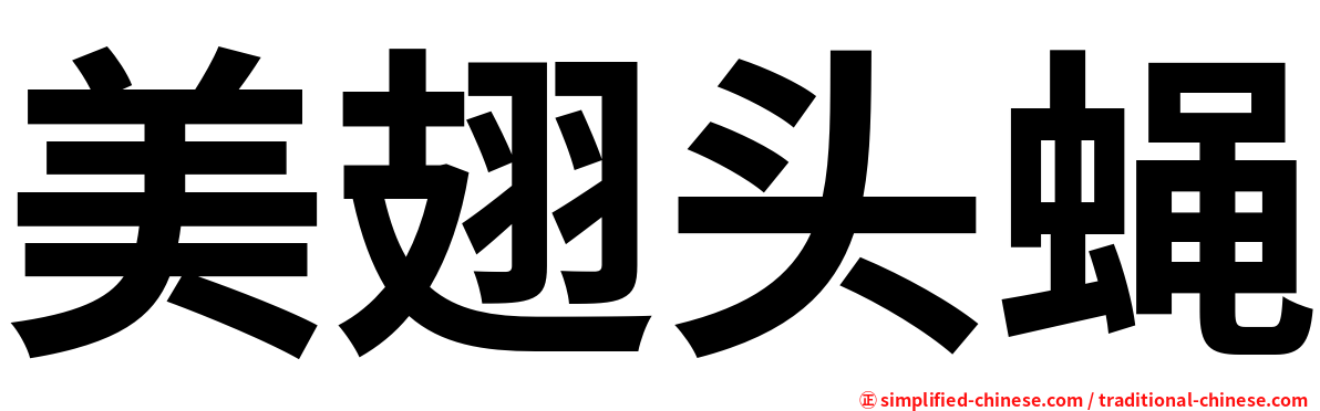 美翅头蝇