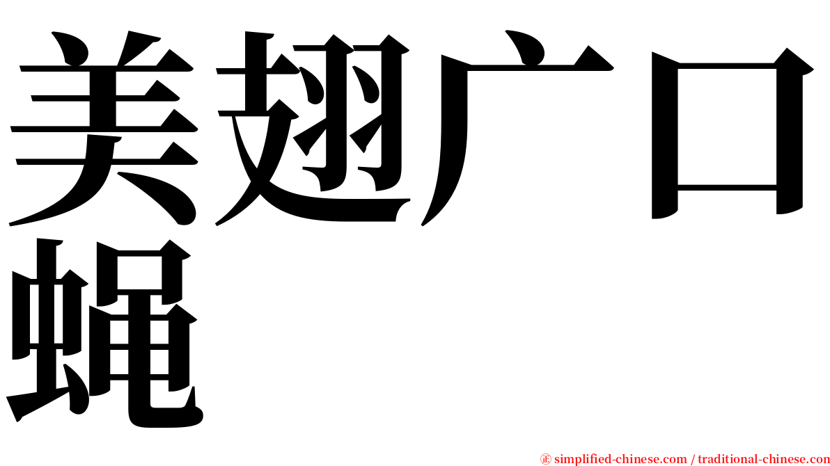 美翅广口蝇 serif font