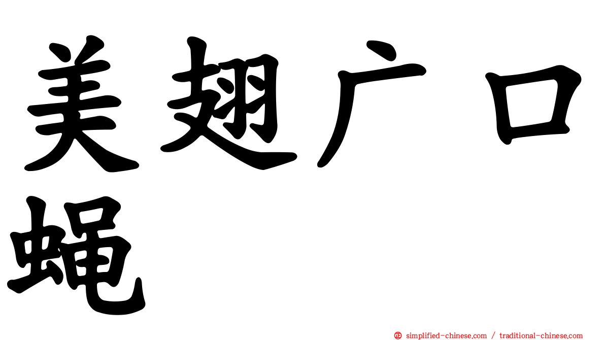 美翅广口蝇