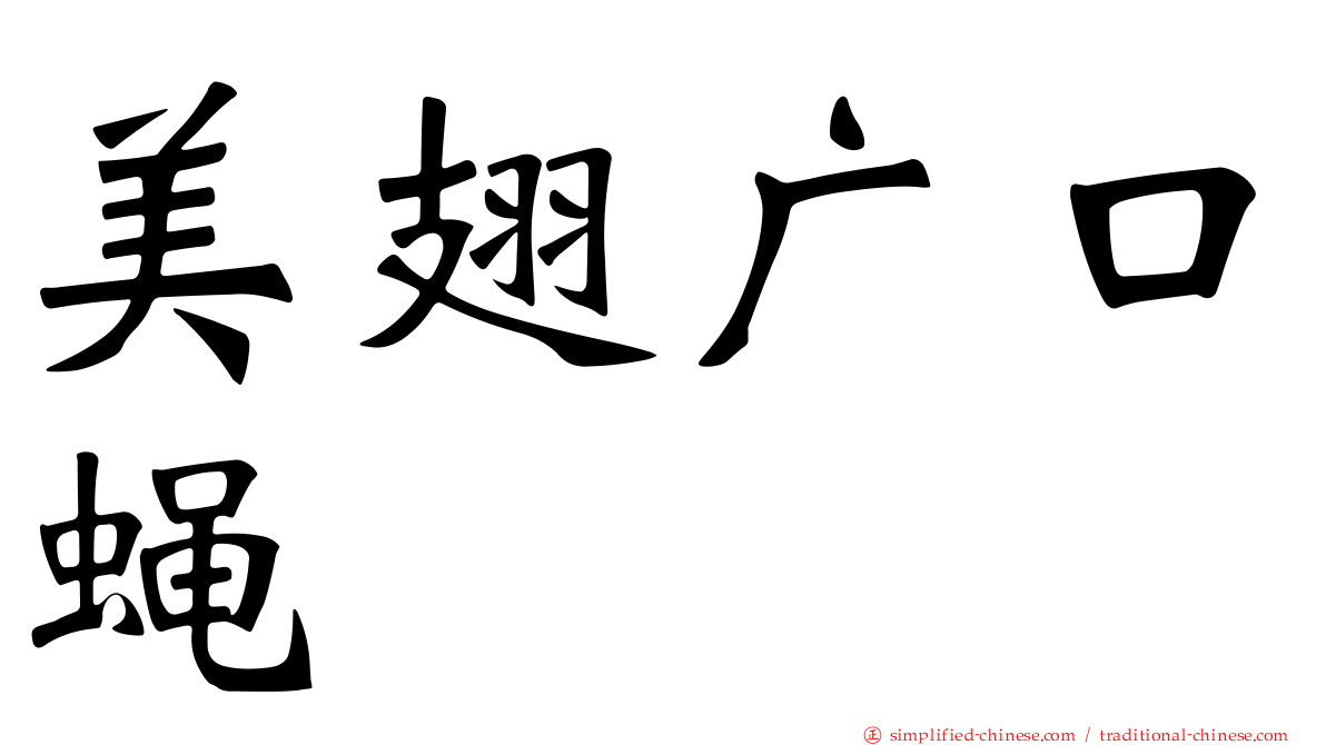 美翅广口蝇
