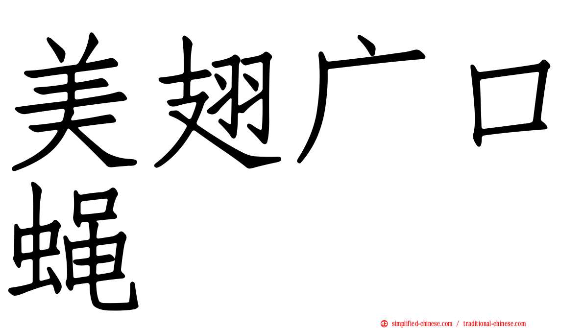 美翅广口蝇