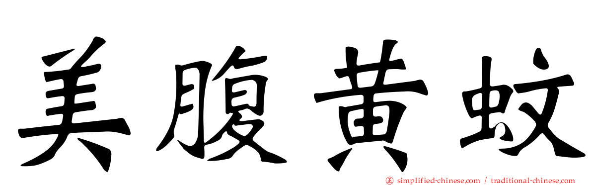 美腹黄蚊