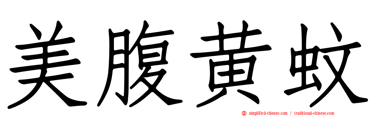 美腹黄蚊