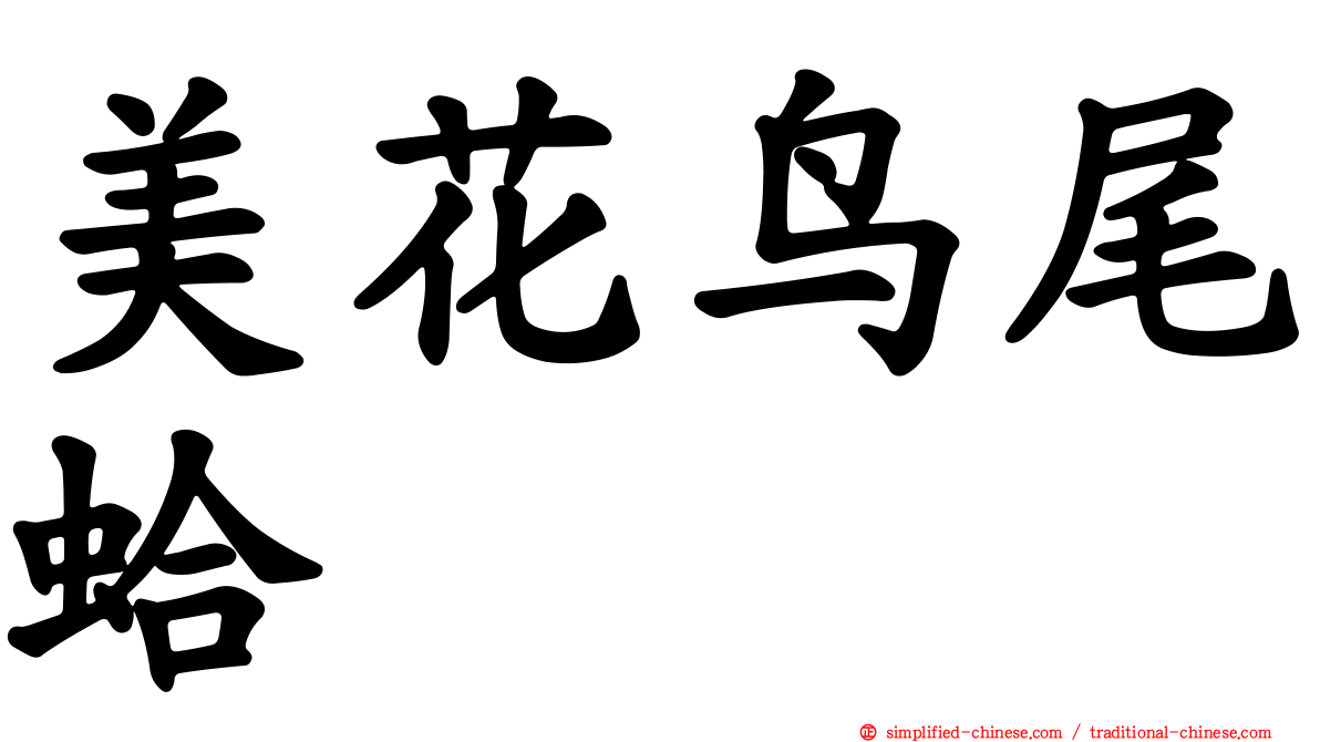 美花鸟尾蛤