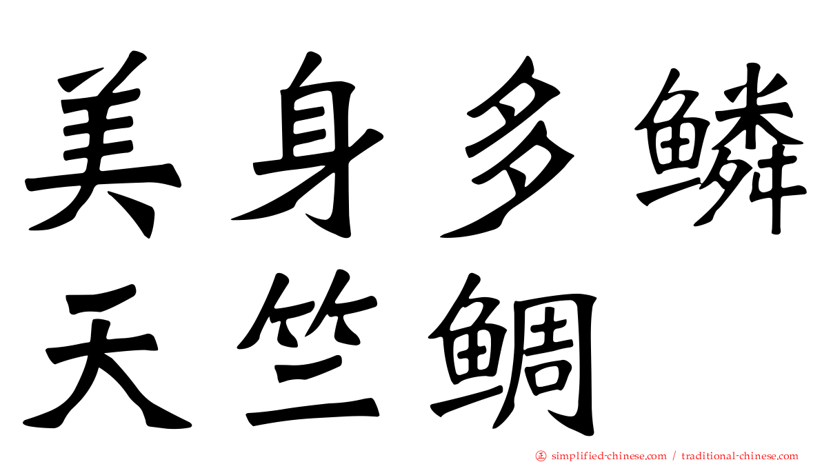 美身多鳞天竺鲷