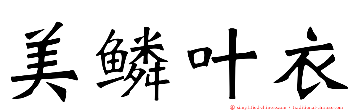 美鳞叶衣