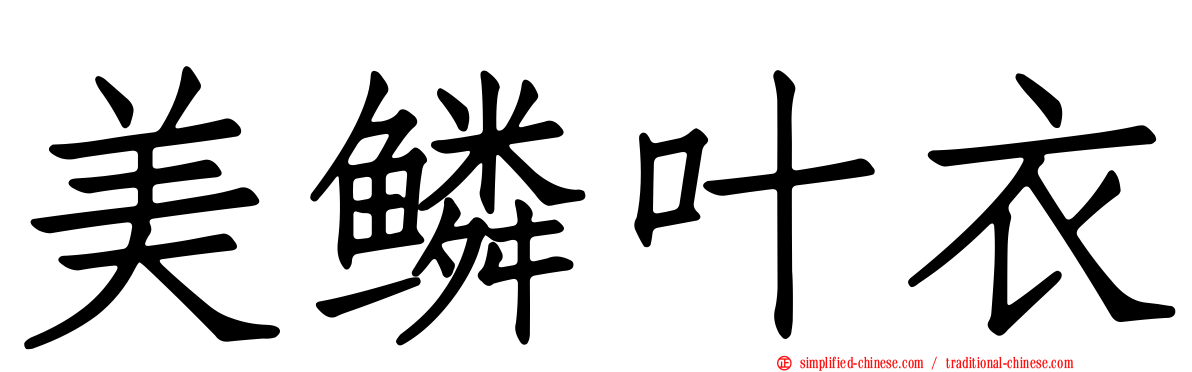 美鳞叶衣
