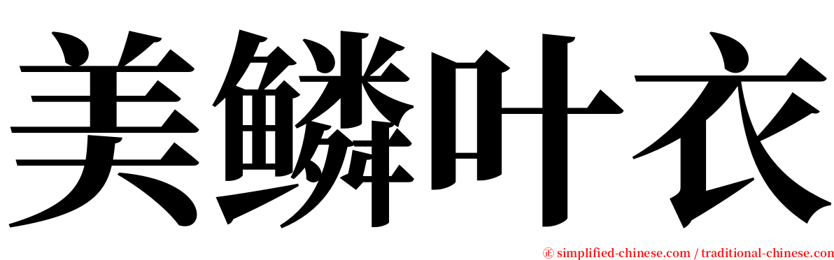 美鳞叶衣 serif font