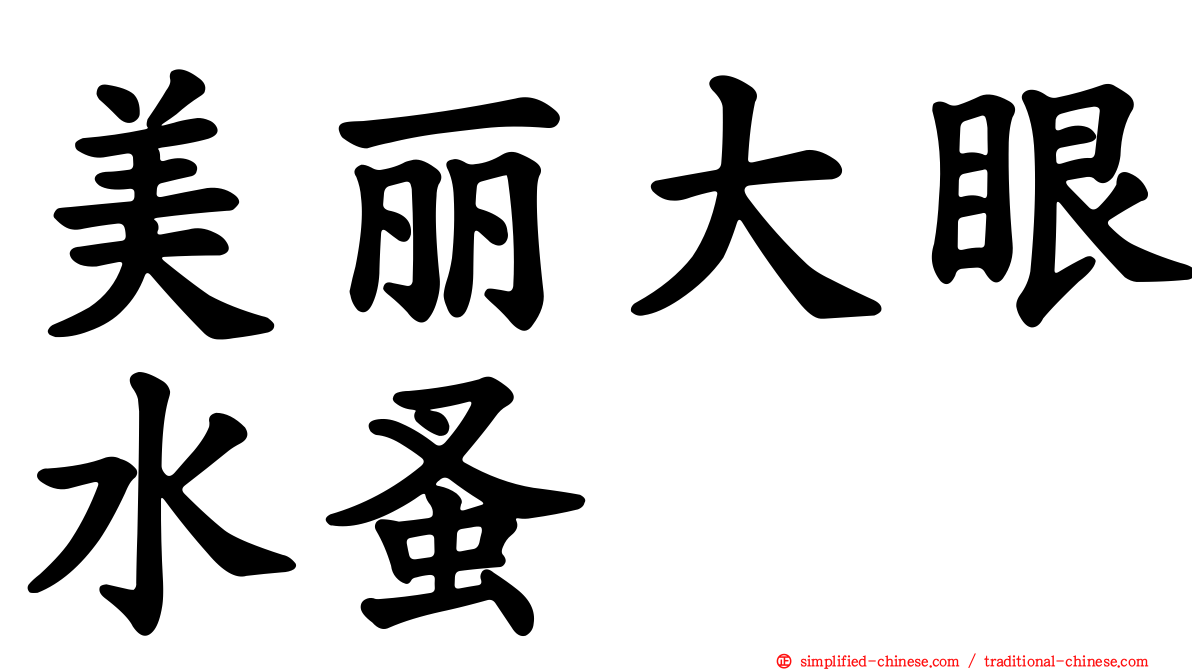 美丽大眼水蚤