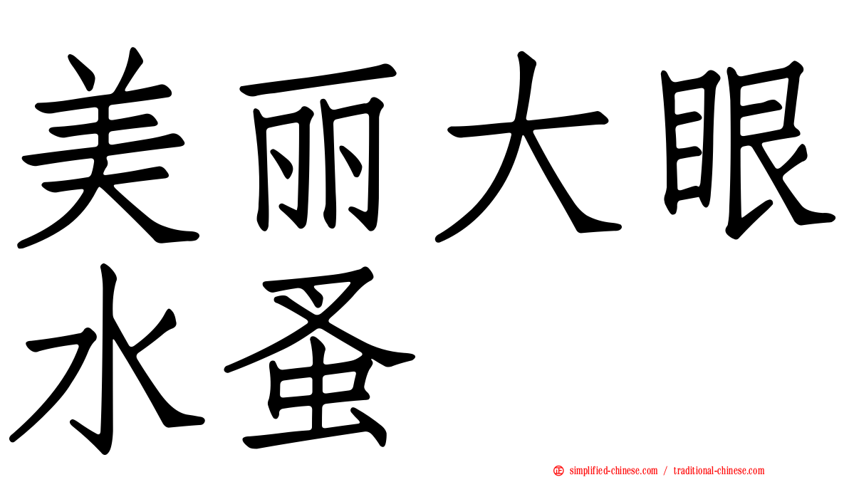 美丽大眼水蚤