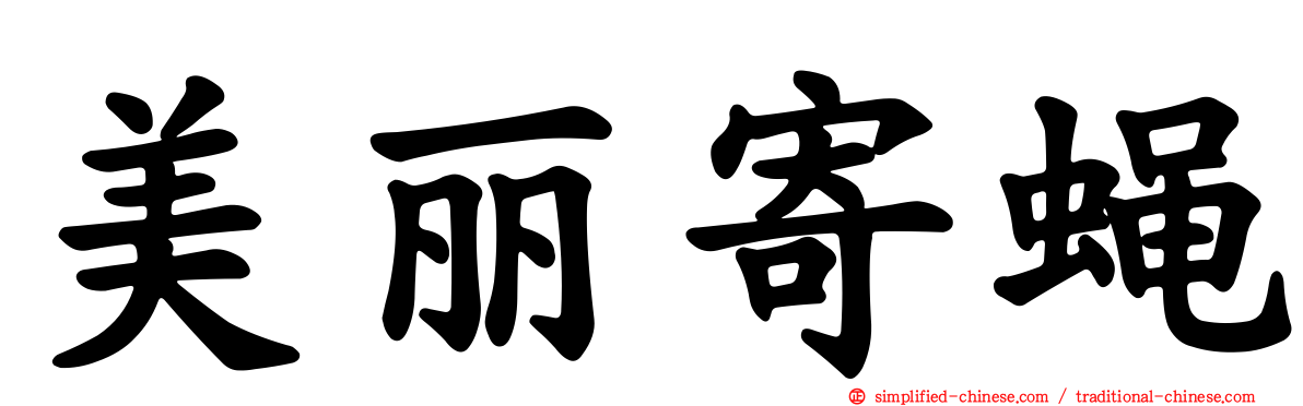 美丽寄蝇