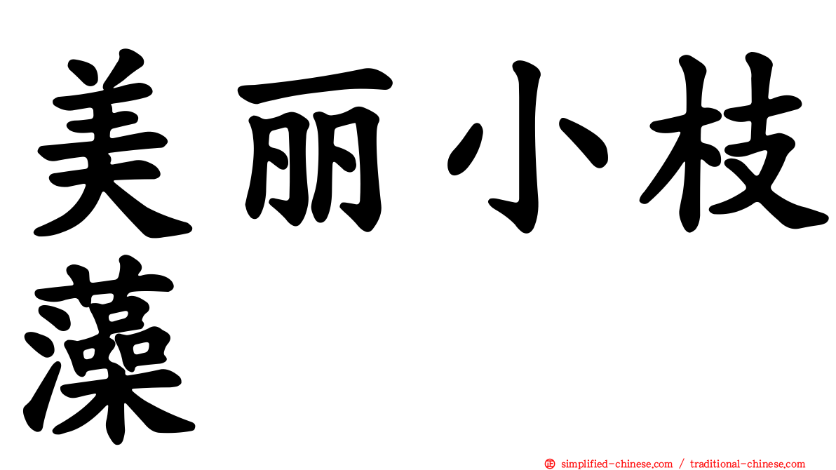 美丽小枝藻