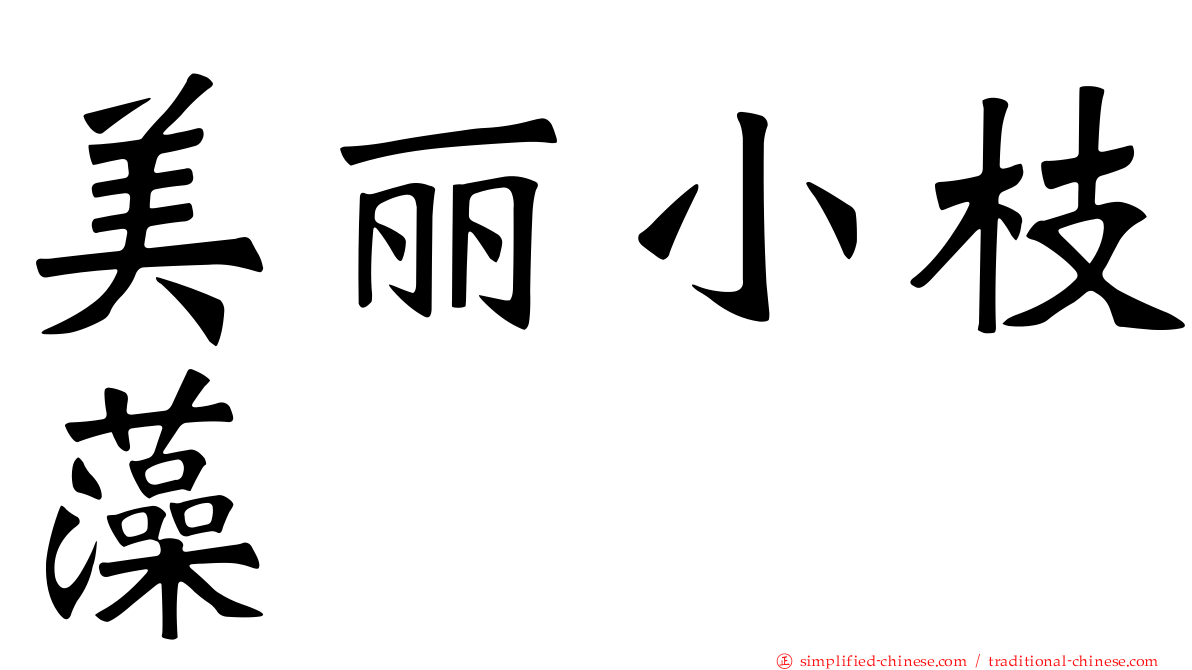 美丽小枝藻