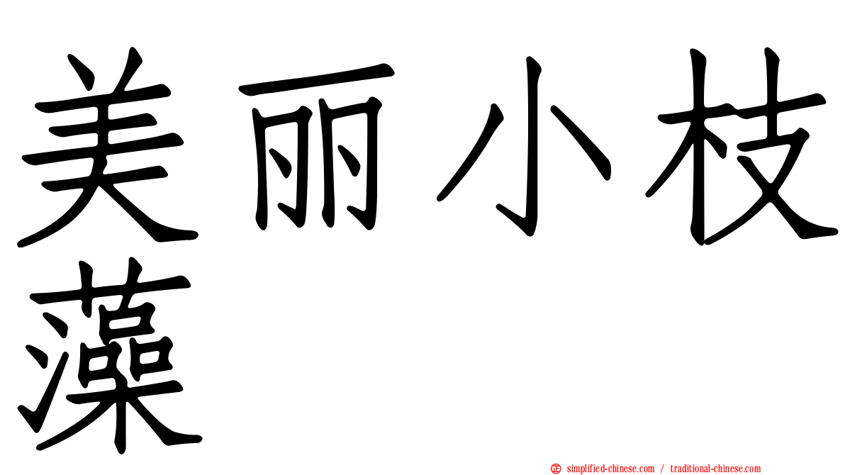 美丽小枝藻