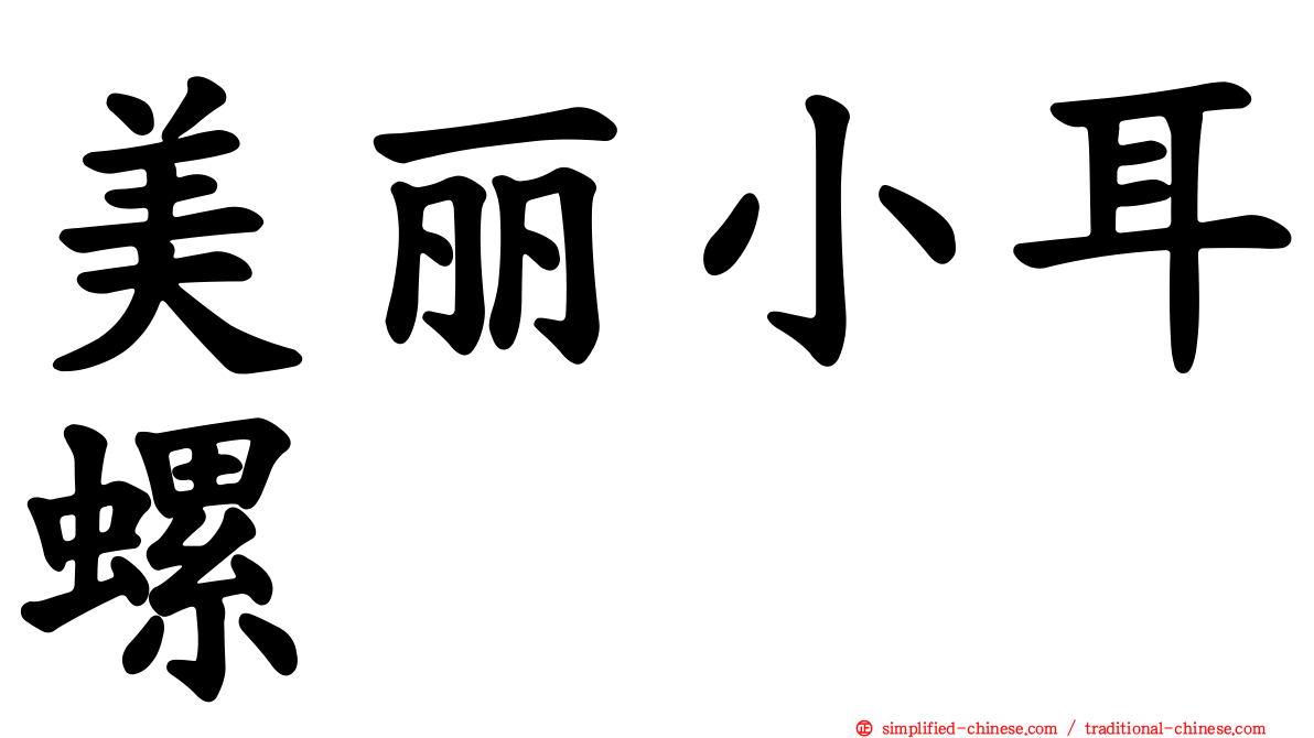 美丽小耳螺