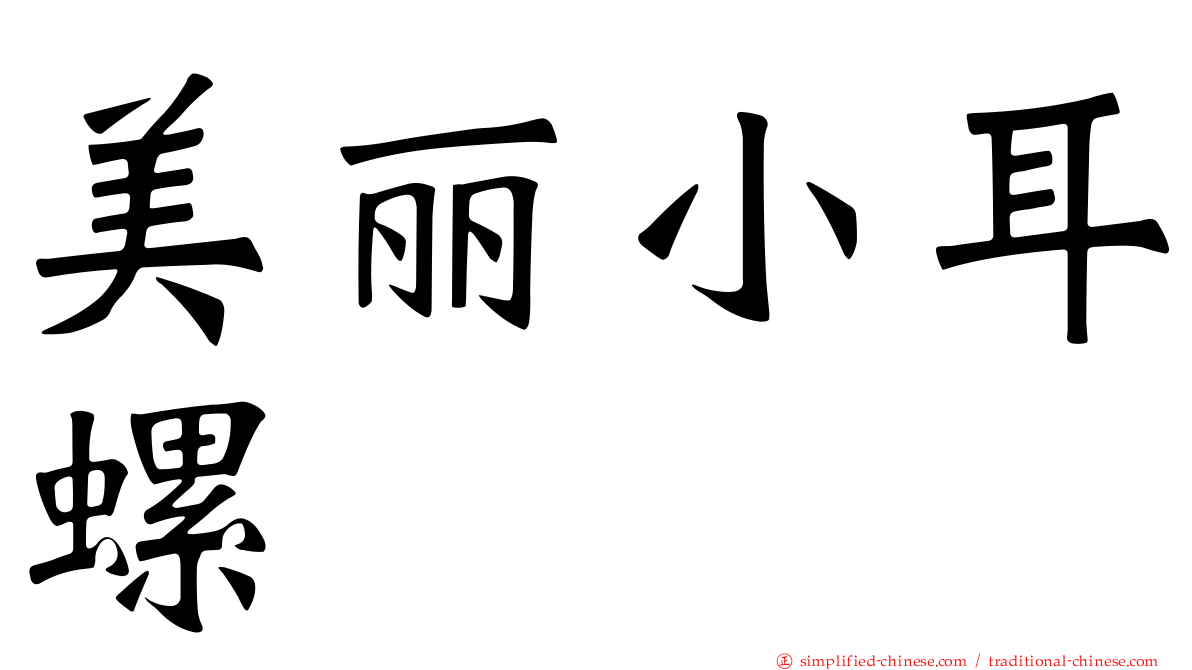 美丽小耳螺