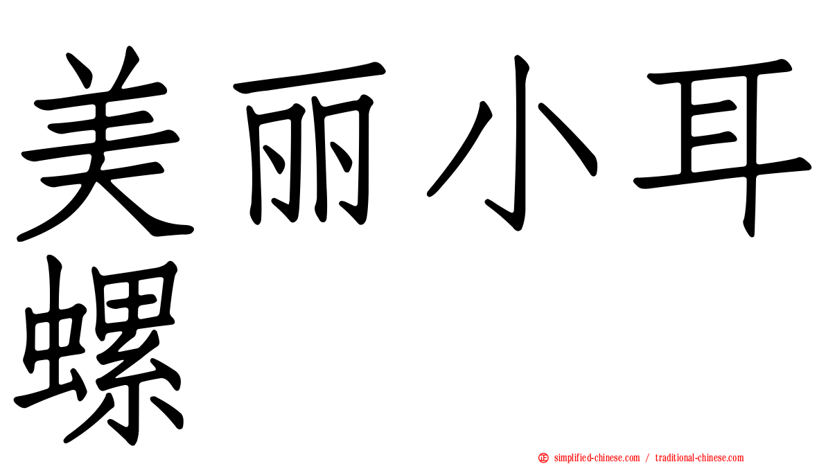 美丽小耳螺