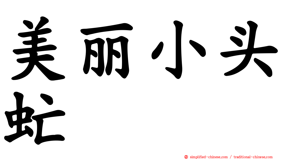 美丽小头虻
