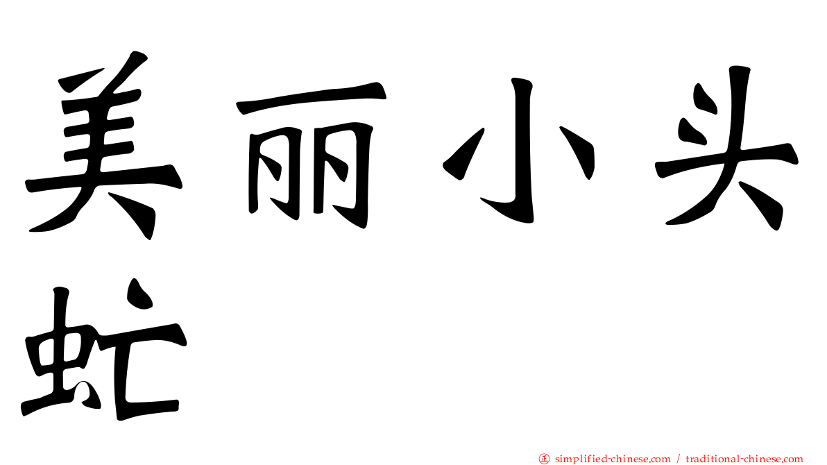 美丽小头虻