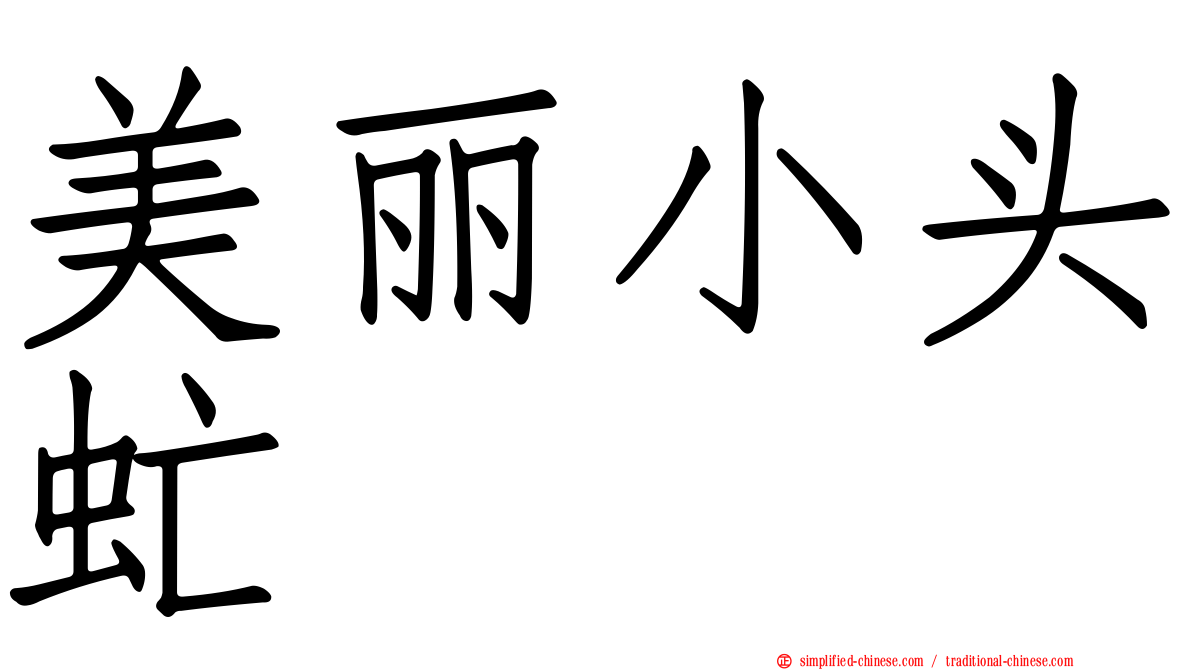 美丽小头虻