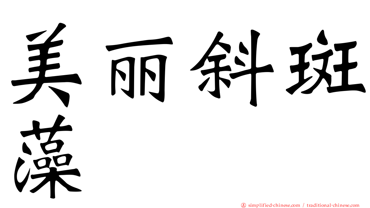 美丽斜斑藻