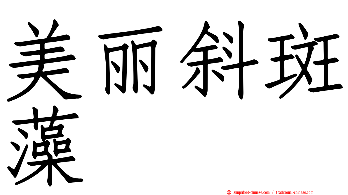 美丽斜斑藻