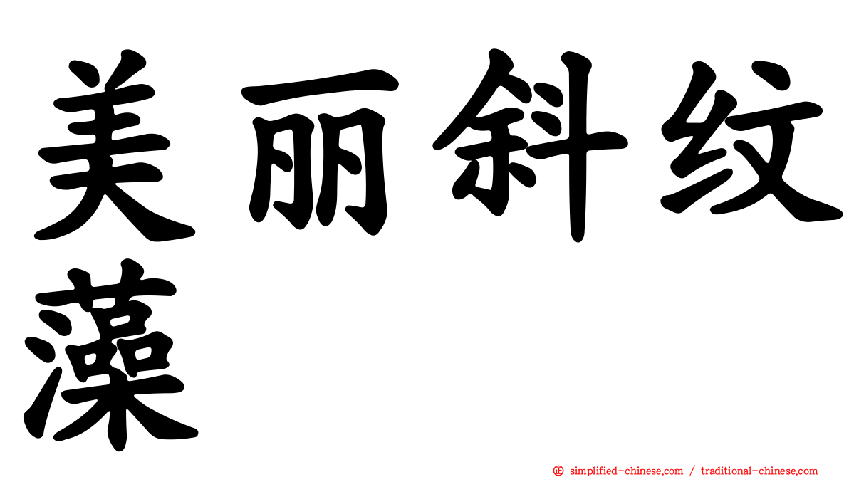 美丽斜纹藻