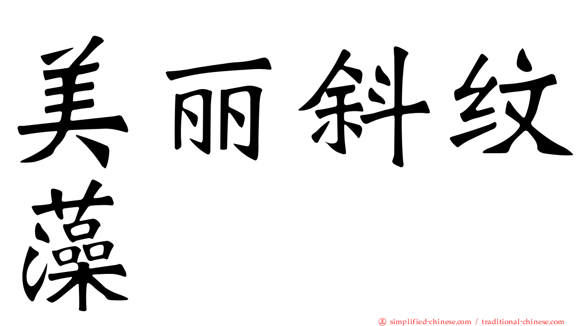 美丽斜纹藻